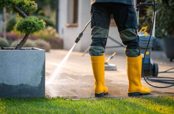 Best Local Pressure Washing Services  in Morn, GA